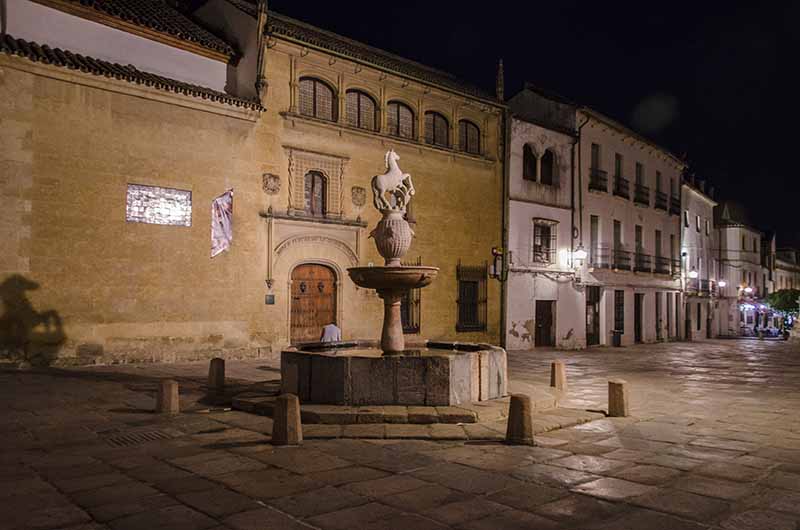 Córdoba 118 - plaza del Potro - imagen nocturna.jpg